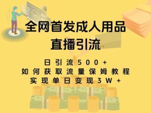 最新全网独创首发，成人用品直播引流获客暴力玩法，单日变现3w保姆级教程-氕氕