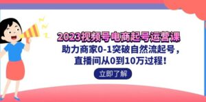 2023视频号-电商起号运营课 助力商家0-1突破自然流起号 直播间从0到10w过程-氕氕