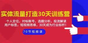 实体流量打造30天训练营：个人定位，对标账号，选题分析，投流解读（70节）-氕氕