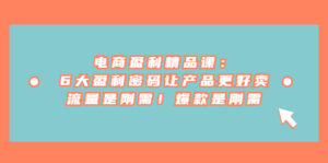 电商 盈利精品课：6大盈利 密码让产品更好卖，流量是刚需！爆款是刚需-氕氕