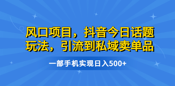 风口项目，抖音今日话题玩法，引流到私域卖单品，一部手机实现日入500+-氕氕