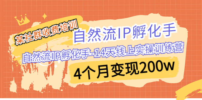 某社群收费培训:自然流IP 孵化手-14天线上实操训练营 4个月变现200w-氕氕