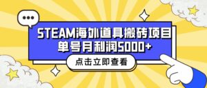 收费6980的Steam海外道具搬砖项目，单号月收益5000+全套实操教程-氕氕