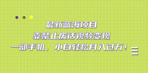 最新蓝海项目，靠禁止废话视频变现，一部手机，小白轻松月入过万！-氕氕