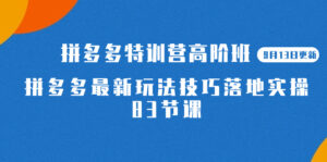 2023拼多多·特训营高阶班【9月19日更新】拼多多最新玩法技巧落地实操-83节-氕氕