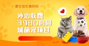 同城萌宠项目，用最冷门的玩法冲击最热门的市场（教程+素材）-氕氕