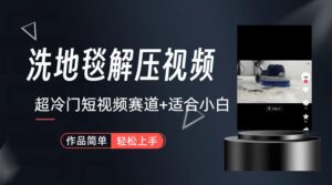 超冷门抖音短视频赛道-清洗地毯解压视频-简单无脑怼作品（教程+素材）-氕氕