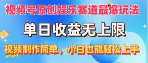 （10425期）视频号原创娱乐赛道最爆玩法，单日收益无上限，视频制作简单，小白也能…-氕氕