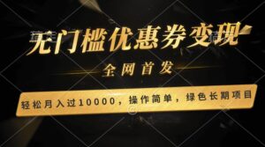轻松日入400+的长期项目，全网首发，新手小白都可月入过万！-氕氕