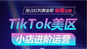TikTok Shop美区小店进阶运营，快速掌握各流量渠道玩法，抢占红利黄金期，嘎嘎出单-氕氕