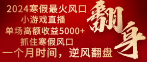 2024年最火寒假风口项目 小游戏直播 单场收益5000+抓住风口 一个月直接提车-氕氕