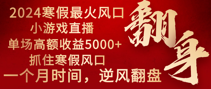 2024年最火寒假风口项目 小游戏直播 单场收益5000+抓住风口 一个月直接提车-氕氕