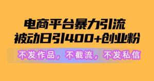 （10168期）电商平台暴力引流,被动日引400+创业粉不发作品，不截流，不发私信-氕氕