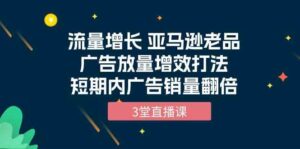 （10112期）流量增长 亚马逊老品广告放量增效打法，短期内广告销量翻倍（3堂直播课）-氕氕