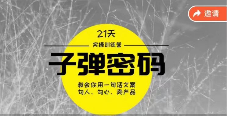 《子弹密码训练营》用一句话文案勾人勾心卖产品，21天学到顶尖文案大师策略和技巧-氕氕