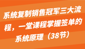 系统复制销售冠军三大流程,一堂课程掌握签单的系统原理(38节)-氕氕