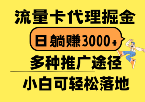 （10771期）流量卡代理掘金，日躺赚3000+，首码平台变现更暴力，多种推广途径，新…-氕氕