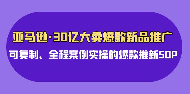 亚马逊30亿大卖爆款新品推广，可复制、全程案例实操的爆款推新SOP-氕氕