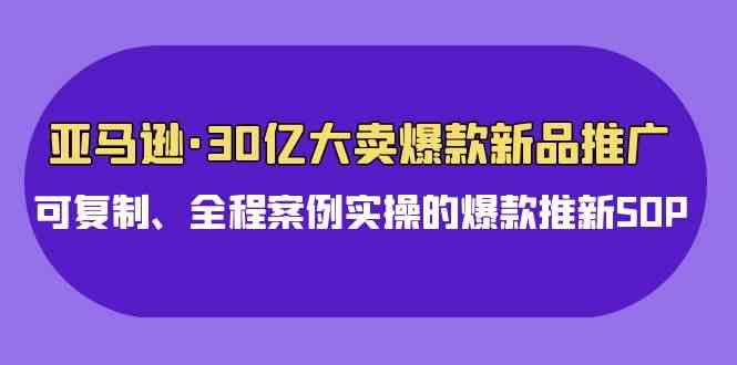 (9944期)亚马逊30亿·大卖爆款新品推广,可复制、全程案例实操的爆款推新SOP-氕氕