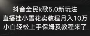 抖音全民k歌5.0新玩法，直播挂小雪花卖教程月入10万，小白轻松上手，保姆及教程来了-氕氕