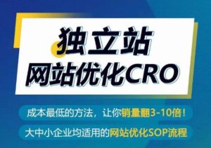 独立站网站优化CRO，成本最低的方法，让你销量翻3-10倍-氕氕