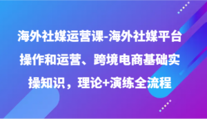 海外社媒运营课-海外社媒平台操作和运营、跨境电商基础实操知识，理论+演练全流程-氕氕