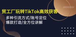 外贸工厂玩转TikTok高效获客，多种引流方式/账号定位/爆款打造/全方位讲解-氕氕