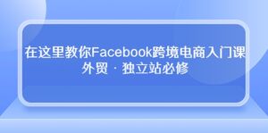在这里教你Facebook跨境电商入门课,外贸·独立站必修(19节课)-氕氕