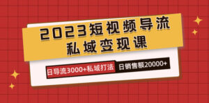 2023短视频导流·私域变现课，日导流3000+私域打法 日销售额2w+-氕氕