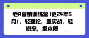 老A营销训练营(更24年5月)，轻理论，重实战，轻概念，重本质-氕氕