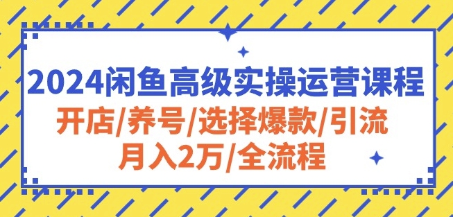 2024闲鱼高级实操运营课程：开店/养号/选择爆款/引流/月入2万/全流程-氕氕