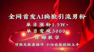 全网独创首发AI换脸引流男粉单日涨粉1.5W+变现3000+小白也能上手快速拿结果-氕氕