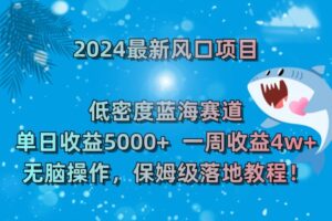 2024最新风口项目 低密度蓝海赛道，日收益5000+周收益4w+ 无脑操作-氕氕