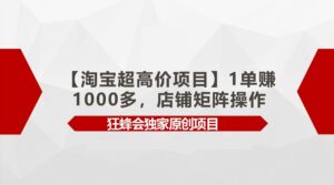 【淘宝超高价项目】1单赚1000多，店铺矩阵操作-氕氕