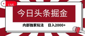 （9832期）今日头条掘金，30秒一篇文章，内部独家玩法，日入2000+-氕氕