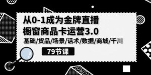 0-1成为金牌直播橱窗商品卡运营3.0，基础/货品/场景/话术/数据/商城/千川-氕氕