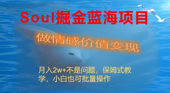 Soul掘金蓝海项目细分赛道，做情感价值变现，月入2w+不是问题-氕氕