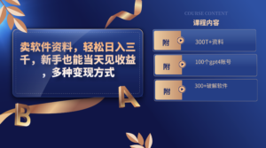 卖软件资料，轻松日入三千，新手也能当天见收益，多种变现方式-氕氕