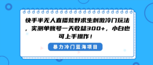 快手半无人直播荒野求生刺激冷门玩法，实测单账号一天收益300+，小白也…-氕氕